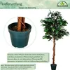PLANTASIA Umělá rostlina strom, mango, 180 cm Náhled obrázku produktu 6