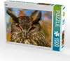CALVENDO Puzzle Uhu 1000 Teile Puzzle quer | 1000 Teile Produktbild-Vorschau 1