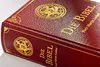 Die Bibel (Geschenkausgabe, Cabra-Leder) Produktbild-Vorschau 3