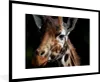 MuchoWow® Gerahmtes Poster Giraffe - Leicht - Schwarz 90x60 Produktbild-Vorschau 1