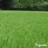 Topdressing Trawników – Mieszanka z Mykoryzą i Podgląd zdjęcia produktu 6