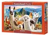 CASTORLAND puzzle 1000 dílků - Lamy Náhled obrázku produktu 2