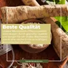 Kiepenkerl Meerrettich Armoracia rusticana 1 Pflanze Produktbild-Vorschau 4