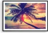 Gerahmtes Poster - Schwarzer Rahmen - Meer Strand Palme - Produktbild-Vorschau 1