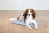 Tapis de refroidissement 40 × 30 cm bleu clair Voir les images du produit 1