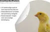 MuchoWow® Produktbild-Vorschau 4