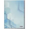 collect-it 9-Pocket Album - Blau - 30 Seiten für 540 Karten Produktbild-Vorschau 2