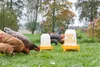 Kerbl Kunststofftränke (für Hühner, Fassungsvermögen 5 L, Produktbild-Vorschau 2