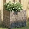 vidaXL Fioriera grigia 36x30x32 cm Poly Rattan Anteprima dell’immagine prodotto 2