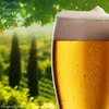IMPERIAL Weizengläser aus Glas 500ml (max. 700ml) Set 6 Produktbild-Vorschau 6