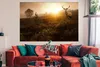 MuchoWow® Poster Hirsche - Nebel - Sonnenuntergang 180x120 Produktbild-Vorschau 2