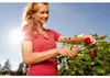 WOLF-Garten RR 4000 - Red / Grey - Grau - 2,2 cm - 1 Podgląd zdjęcia produktu 14