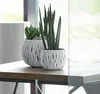 Květináč SANDY BOWL s vkladem 37 cm - barva: šedý kámen Anteprima dell’immagine prodotto 11