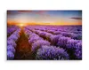 Fabelhafte Canvas LEINWAND BILDER 70x50 cm XXL Kunstdruck Produktbild-Vorschau 3