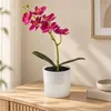 Künstliche Orchidee in einem Glasgefäß mit LED und Produktbild-Vorschau 2