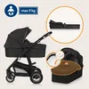 Lionelo Bianka 3in1 Kinderwagen, Autotransporter, Autositz, Produktbild-Vorschau 2