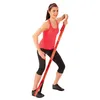 Sveltus MAXI Elastiband 10kg Zugkraft mit großen Schlaufen Produktbild-Vorschau 4