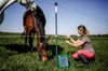 Ogrodzenie elektryczne AKO SunPOWER S250 z akumulatorem AGM Podgląd zdjęcia produktu 9