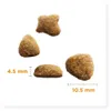 IAMS Advanced Nutrition Katzenfutter Huhn 10 kg Produktbild-Vorschau 4