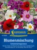 Kiepenkerl - Blumenmischung Schmetterlingswiese Samen - Produktbild-Vorschau 1