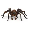 Hračka Schleich Harry Potter - Aragog Anteprima dell’immagine prodotto 4