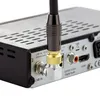 ORSEM 5x SAT F-Winkelstecker F-Stecker Buchse 75 Ohm Koax Produktbild-Vorschau 3