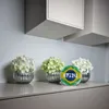 Spardose mit Brasilien-Flagge im Used Look - Sparschwein Produktbild-Vorschau 4