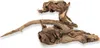BioRain Roots Tropische Treibholzwurzel S 12-20cm Produktbild-Vorschau 8