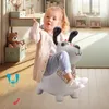 Giocattoli gonfiabili SUN BABY da 1 anno con pompa in gomma Anteprima dell’immagine prodotto 16