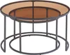 A set of two nesting coffee tables with round, smoked glass tops and black metal frames. Náhľad obrázku produktu