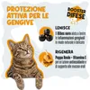 Polvere Dentale Naturale Cani/Gatti (100g) | Anti-Tartaro e Anteprima dell’immagine prodotto 3