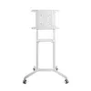 PureMounts® TV Standfuß, mobil, Display 37-70", weiß, Höhe Produktbild-Vorschau 8