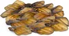 Kaureks Natur Hundeleckerlies, Rinderohren mit Muschel 20 Produktbild-Vorschau 2