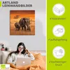 ARTland Leinwandbild Elefanten II Größe: 70x70 cm Produktbild-Vorschau 3