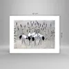 Poster - Poster ohne Rahmen - Vogel Natur Wasser - 40x30 cm Produktbild-Vorschau 4