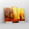Bild auf Leinwand - Leinwandbild - Wald Baum Natur - Produktbild-Vorschau 4