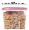 4er set,Schüttdosen 2 Liter, transparent mit Klappdeckeln Produktbild-Vorschau 2