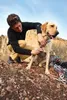 Ruffwear Hundegeschirr DoubleBack™ Harness Cloudburst Gray, Produktbild-Vorschau 20