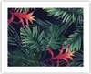 Poster - Poster ohne Rahmen - Exotisch Blumen Blätter - Produktbild-Vorschau 1