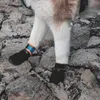 A dog's paws wearing protective booties on a rocky surface. Produktbild-Vorschau