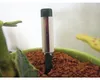 Westland Gießanzeiger groß anthrazit 26 cm Produktbild-Vorschau 4