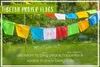 PHENO FLAGS Tibetische Gebetsfahne Tibet Prayer Flags Produktbild-Vorschau 6