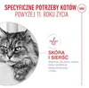 Royal Canin Ageing 11+ Nassfutter 24x85g Stückchen in Soße Produktbild-Vorschau 6