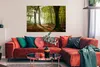 MuchoWow® Poster Wald - Sonne - Jahreszeiten - Landschaft Produktbild-Vorschau 2