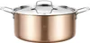 Braadpan 24 cm met deksel – Drielaags roestvrij staal 18/10 Productafbeelding-voorbeeld 1