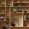 LEGO Icons Sukkulenten Künstliche Blumen Set für Produktbild-Vorschau 15