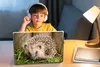 MuchoWow® Laptop Aufkleber Sticker Cover Igel für Produktbild-Vorschau 3