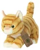Eco Nation Aurora Orange Tabby Teddybär Gelb 15 cm Gelb 15 Produktbild-Vorschau 8