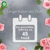 AIRWICK Duftöl Beruhigende Rose fruchtig Náhled obrázku produktu 3