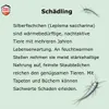 Nexa Lotte 3659 Silberfischchen Falle 3 Stück Produktbild-Vorschau 4